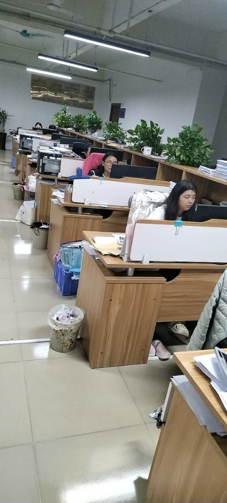 佛山专业出口退税报价曝光:价格透明全解析